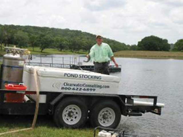 Pond stocking
